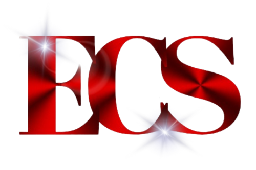 ECS Precise Construction LLC